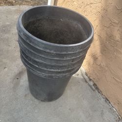 15 Gallon Planters 