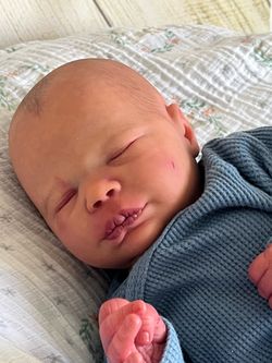 Reborn Dolls