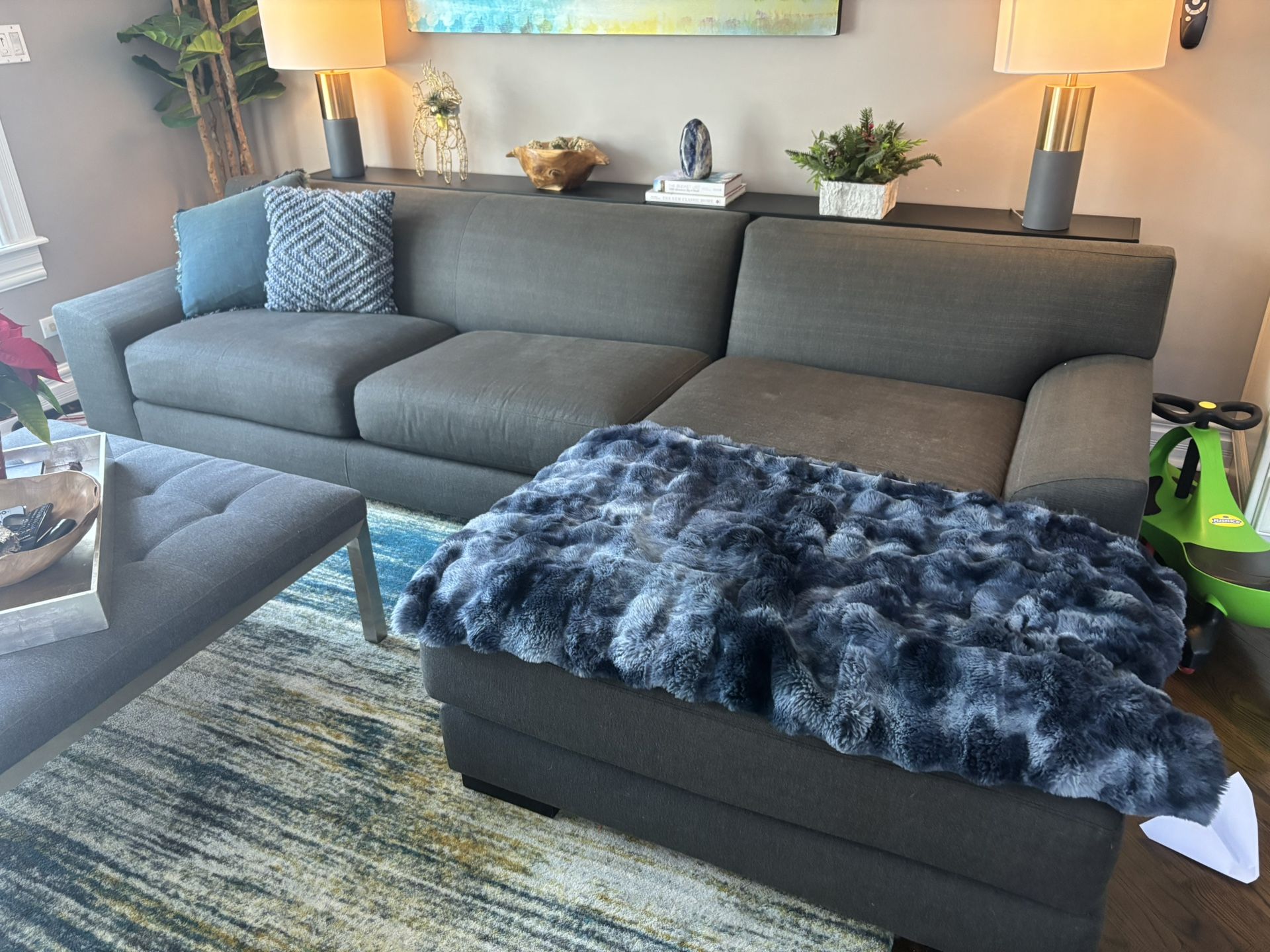 Room and Board Couch 