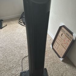 Fan