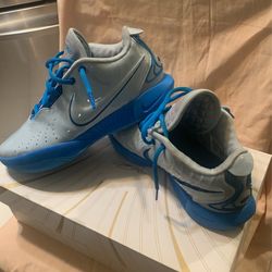 Lebron James XXl Shoes
