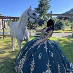 Vestido De Quinceañera 