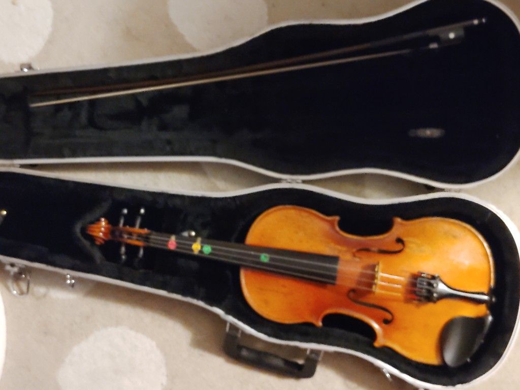 Violin