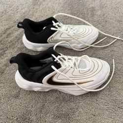 Nike basketball shoes (NikeGiannis Immortality 2)