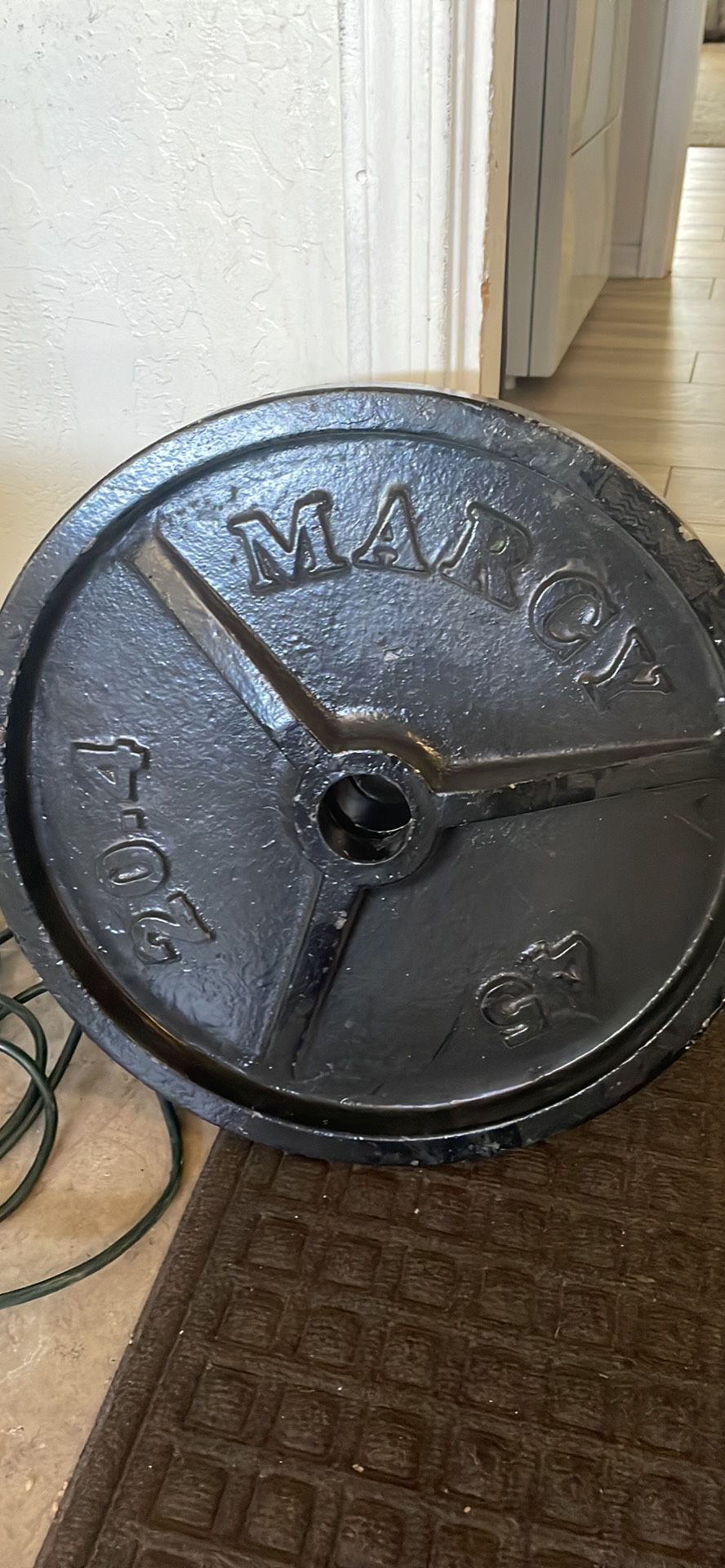 2- 45 Lb Olympic Weights 