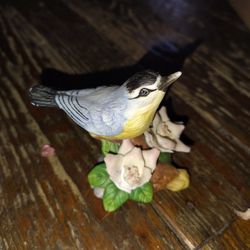 Glass Bird