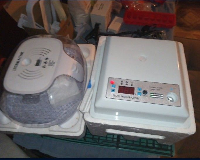 Quail/button Quail Hatching And Cage Equipment{