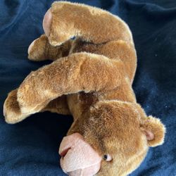 Kohls Cares Kohls Brown Bear Plush Eric Carle Stuffed Animal 2008