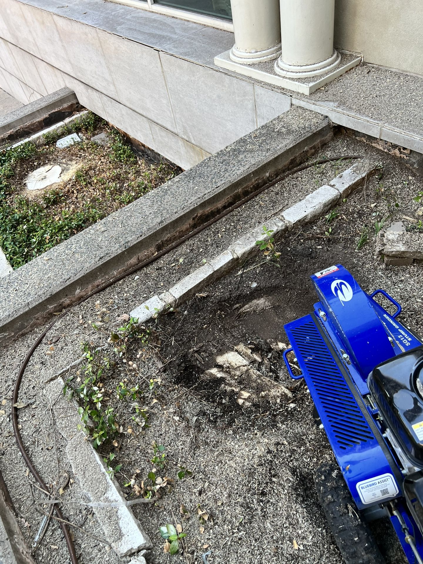 Stump Removal Services