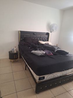 Queen shelf Bed and nightstands