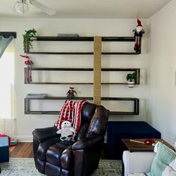 Cat Wall/Book/Plant Shelves 