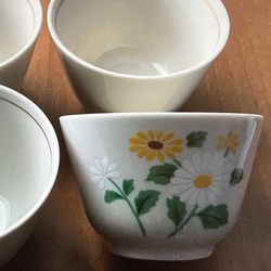 Vintage Tea Cup Plants Design