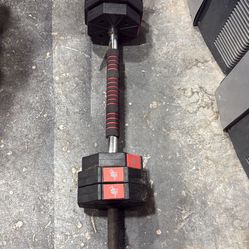 Weights and weight bench