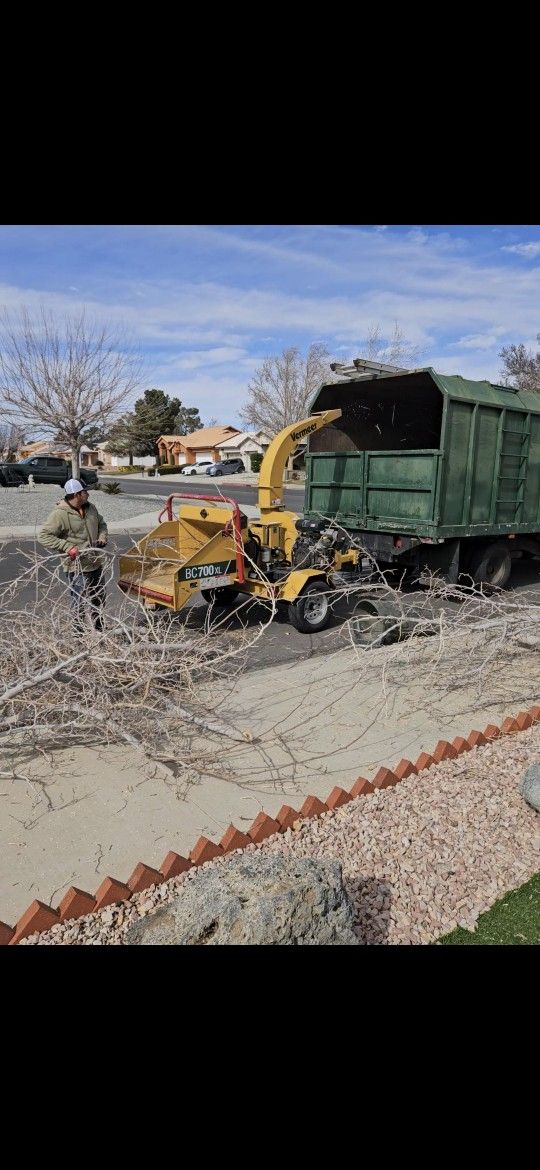 Chipping Branches