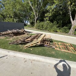 Wood Pallets 