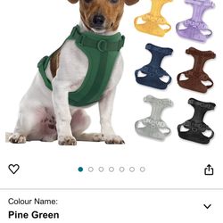 Sturdy Size Medium Harness