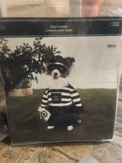 Various Dog Halloween Costumes