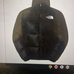 north Face Nuptial 700 Jacket Puffer