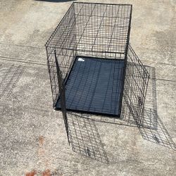 Dog Cage - Collapsible 