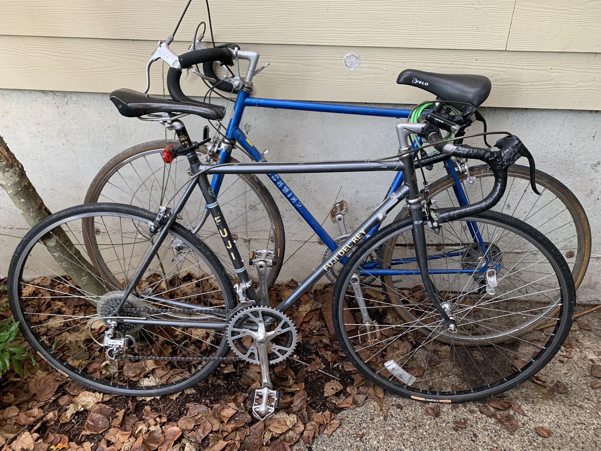 Fuji Del Rey and Classic Schwinn