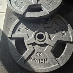New WEIDER Standard Plates - 25 LB (2)