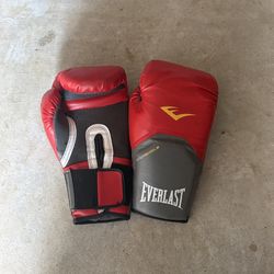 Everlasting Boxing Gloves & Mitt Pads