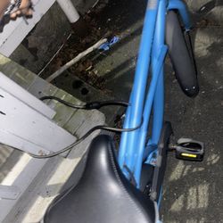 Adult Size Bike (Blue)