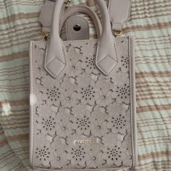 Aldo Purse