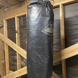 Everlast Punching Bag