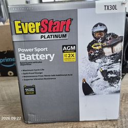 Everstart Platinum Sport Battery