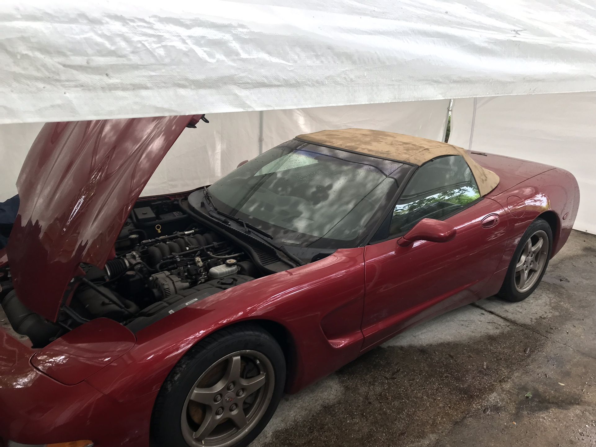 2000 Chevrolet Corvette