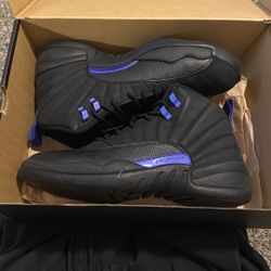 Jordan 12 dark concord 