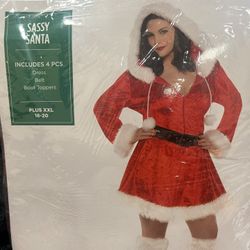 Sassy Santa Costume/New/Plus Size 2XL 18-20
