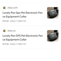 Dog GPS Collar