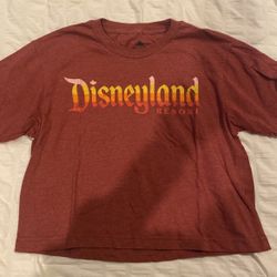 Disneyland Crop Top T-shirt
