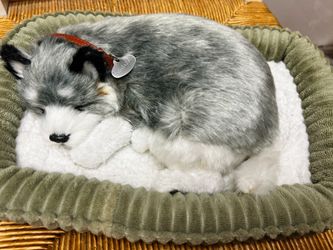 Realistic Alaskan Husky dog sleeping toy