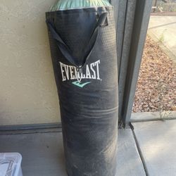 Punching Bag