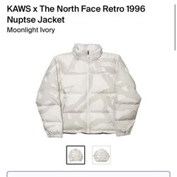 Kaws X the North Face Nuptse 