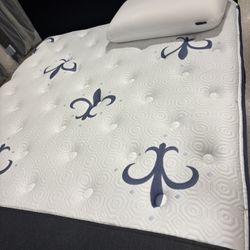 Queen Medium Mattress 