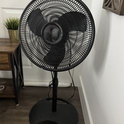 Fan