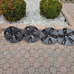 Tesla Model 3 18in Hubcaps