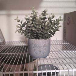 Butterfly Plant Decor-$10