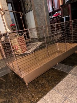 Rabbit, Guinea pig, or ferret home