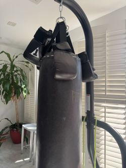 Everlast Punching Bag