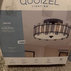 Quoizel Sentry 3-Light Flush Mount Ceiling Light – New in Box