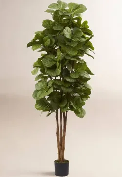 6 ft. Artificial Fiddle Leaf Fig Tree by
Nearly Natural