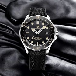 Pagani Design PD-1667 Technical Description