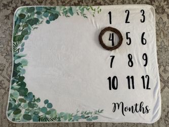 Baby monthly milestone blanket & wood signs