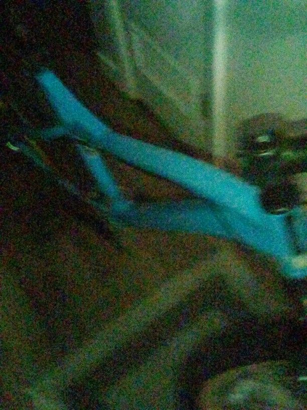 Diamond Back Mountain Bike