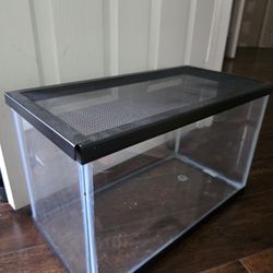 Fish Tank Tank Tank Glass Clear 